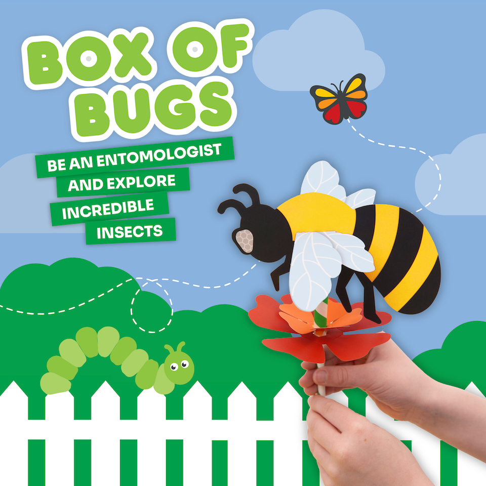 BOX OF BUGS